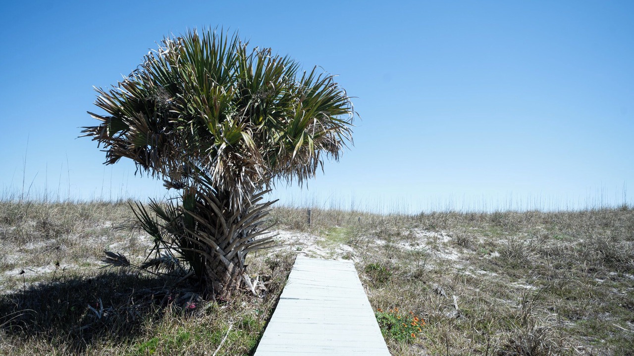 Photo of Outdoor in Ocean Cay