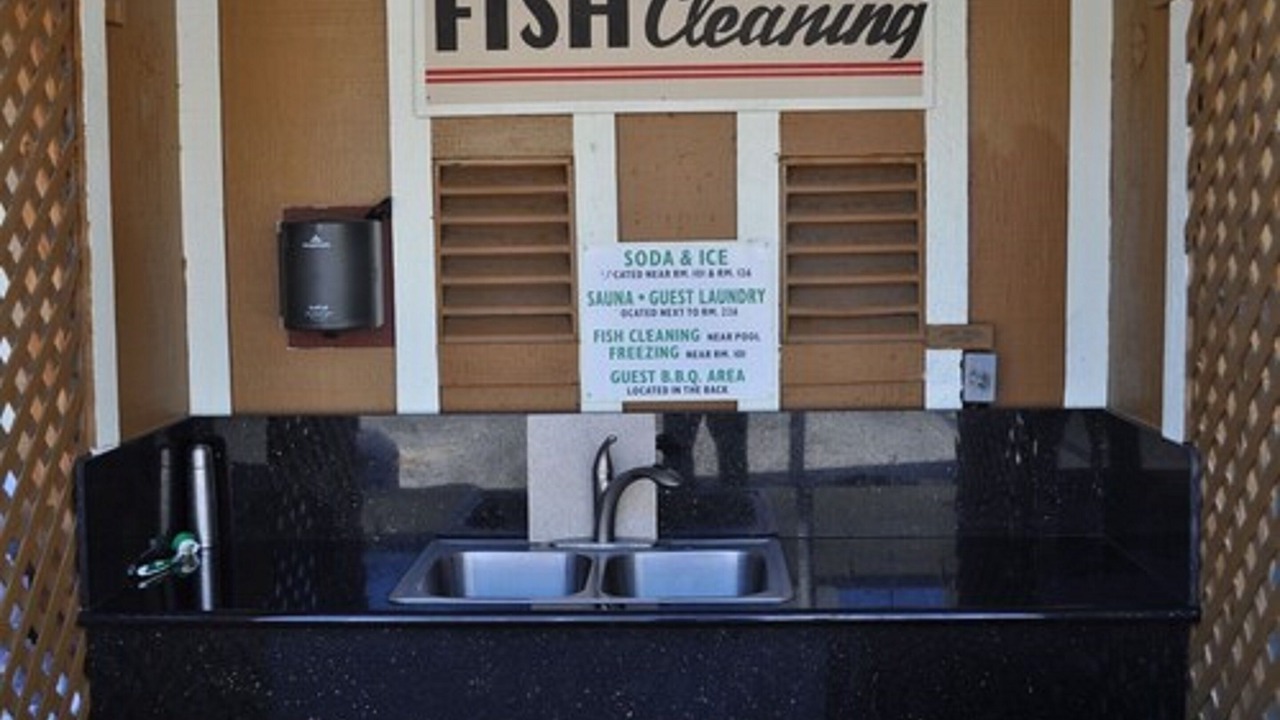 Photo of Others in Bishop