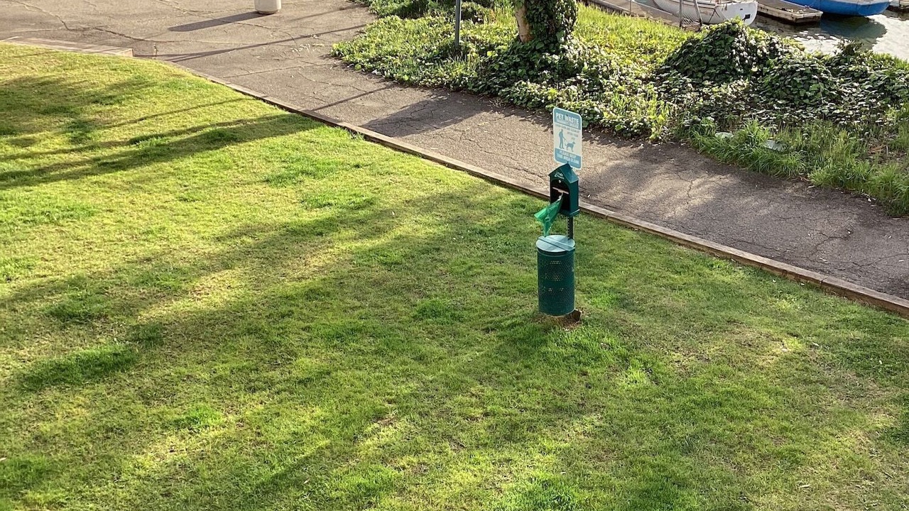 Photo of Outdoor in East Peralta