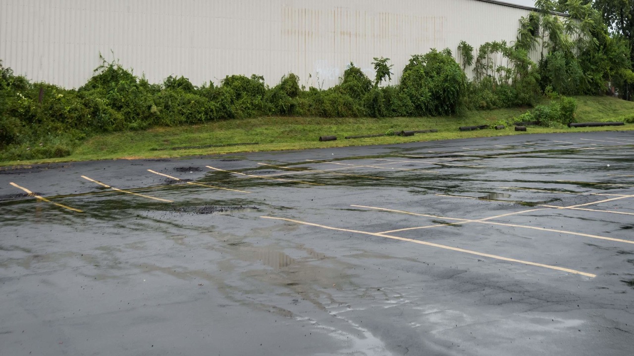 Photo of Others in North Meadows