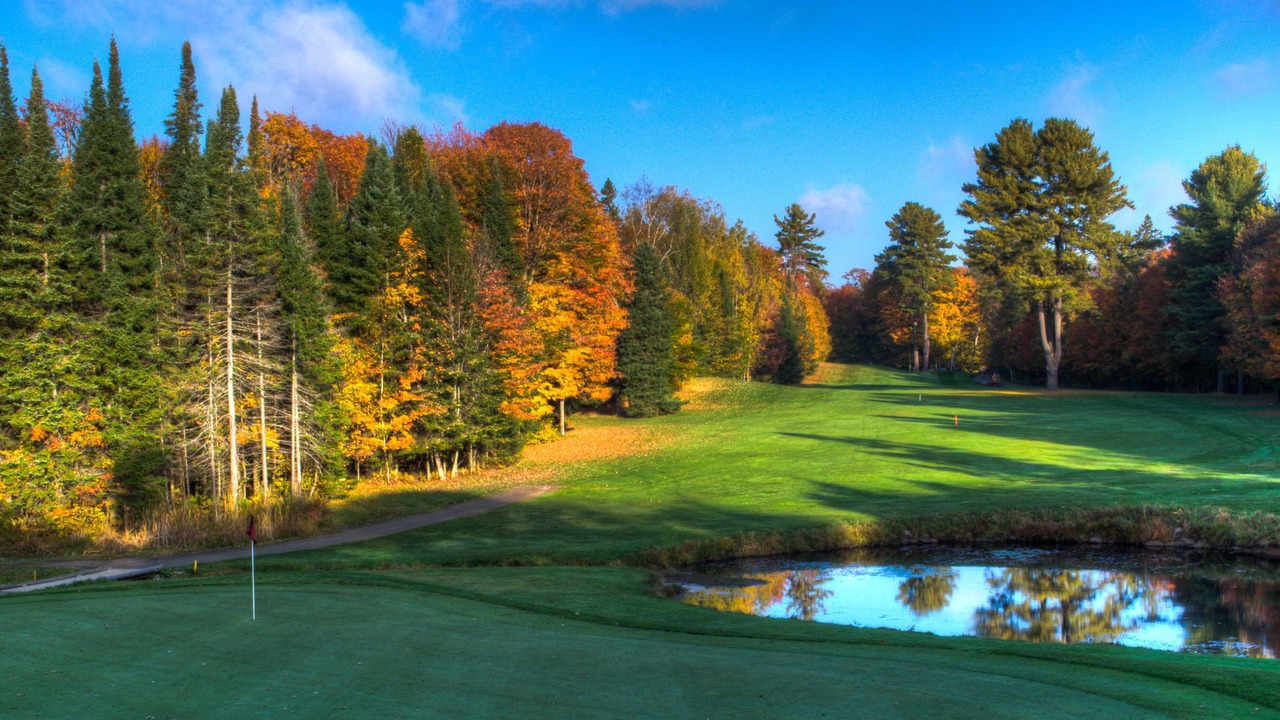 Photo of Others in Haliburton