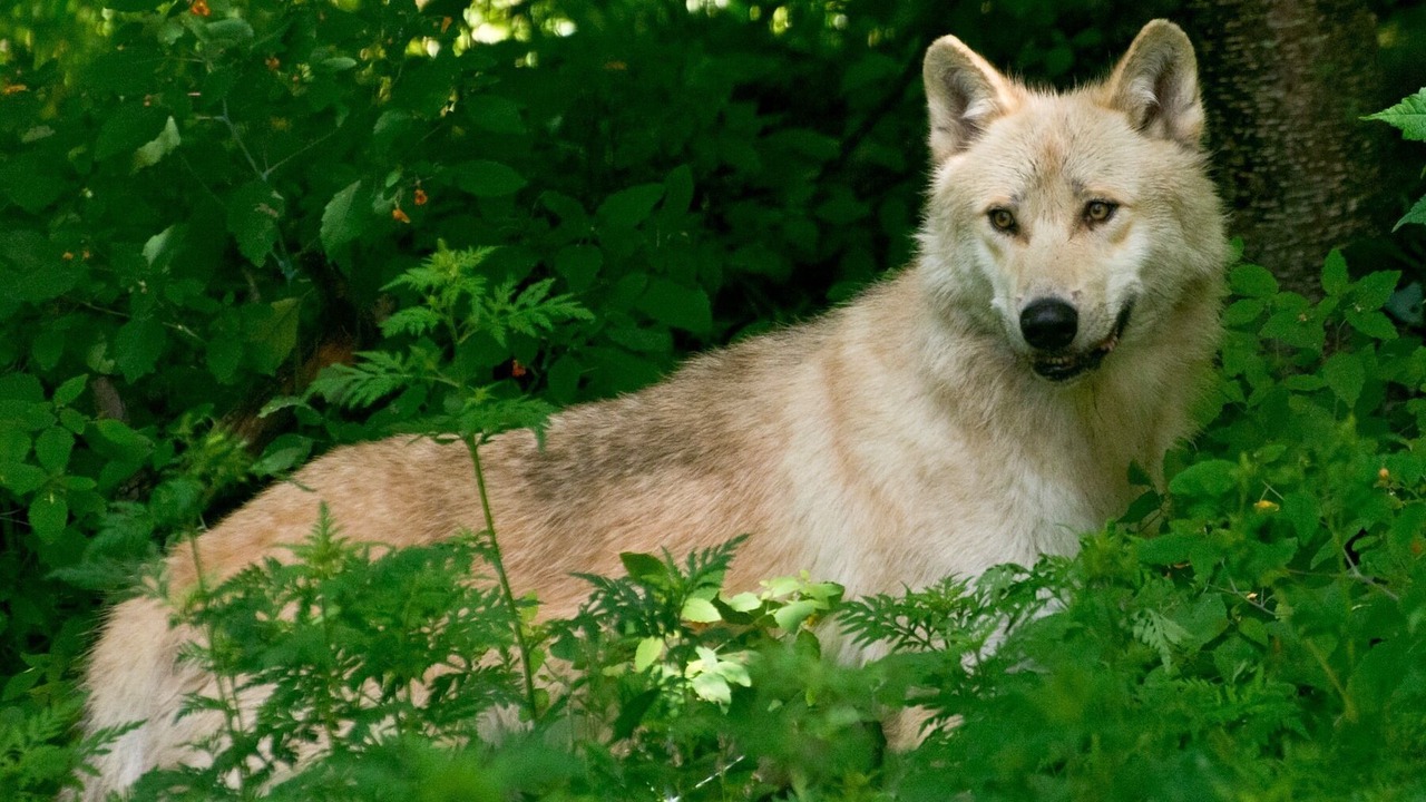 Photo of Others in Haliburton