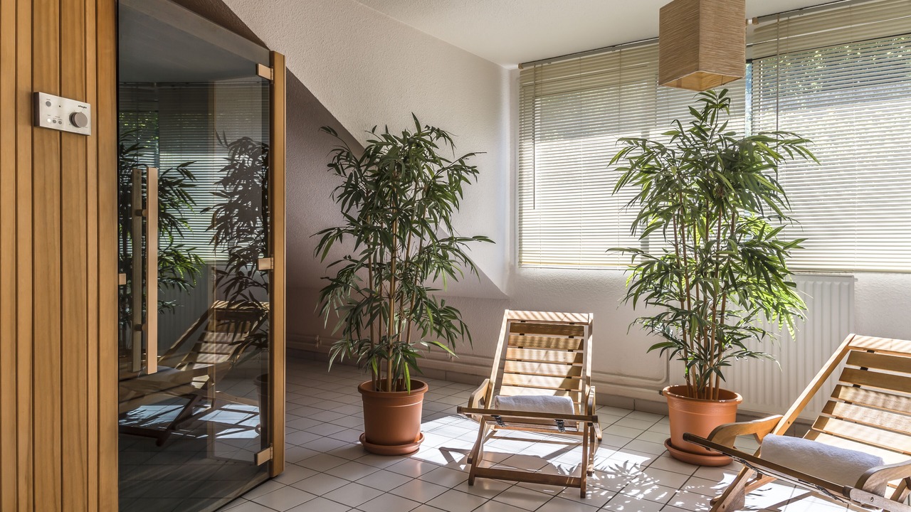 Photo of Others in Hardelot-Plage