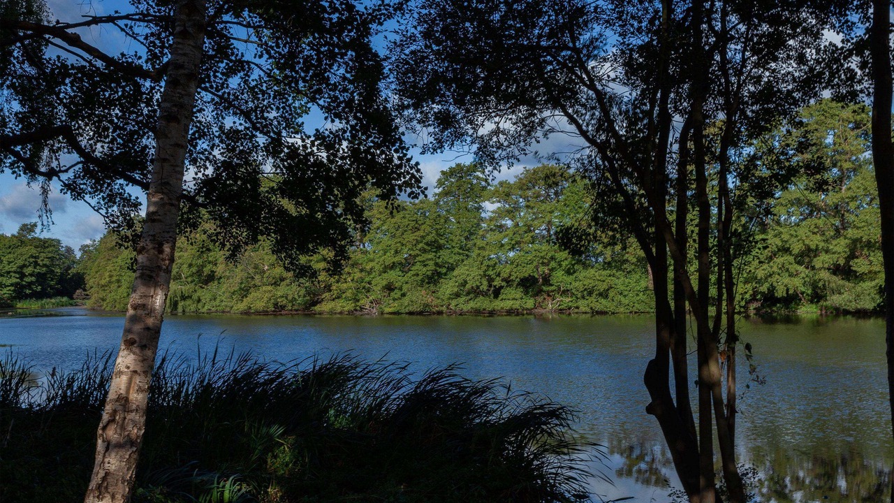 Photo of Outdoor in Weybridge