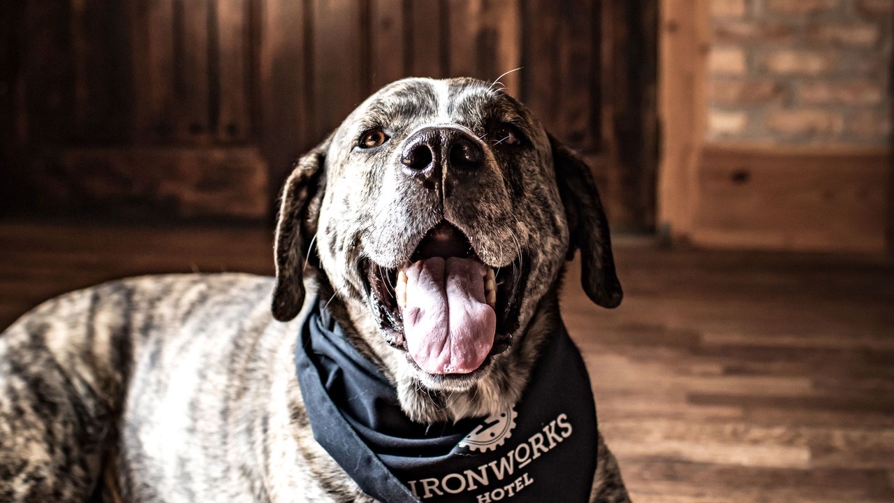 Photo of Others in Beloit