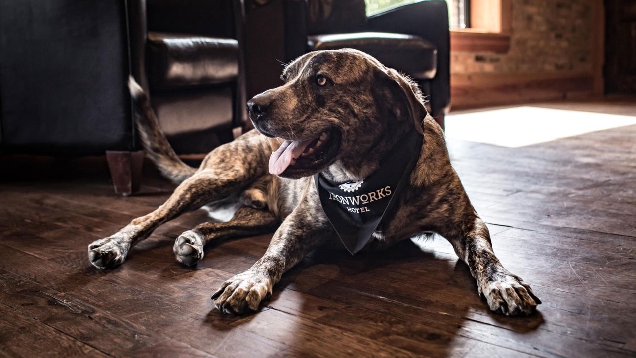 Photo of Others in Beloit