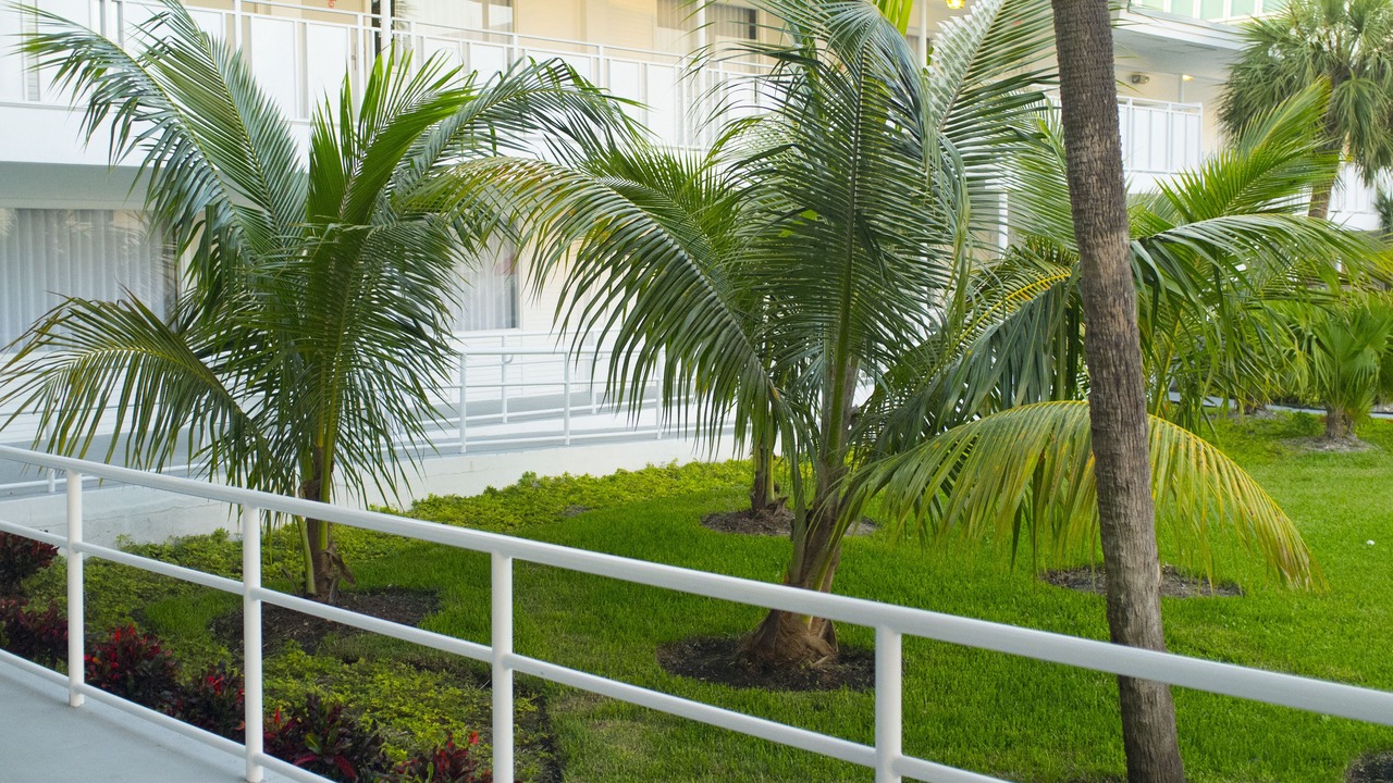 Photo of Outdoor in North Beach