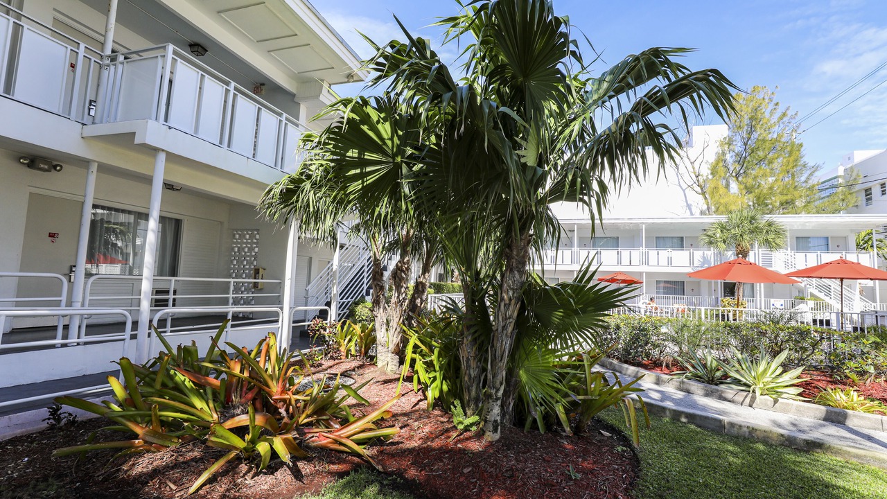Photo of Outdoor in North Beach