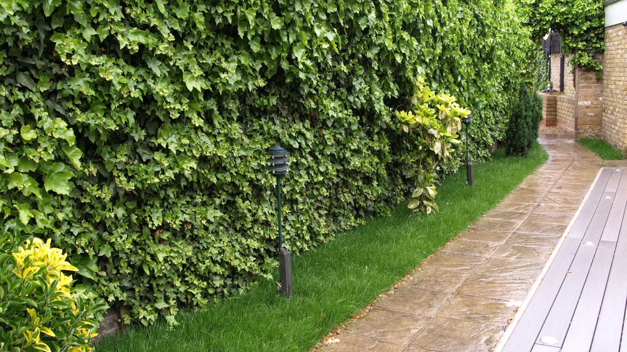 Photo of Outdoor in Chiswick