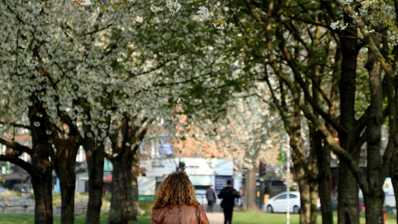 Photo of Outdoor in Chiswick