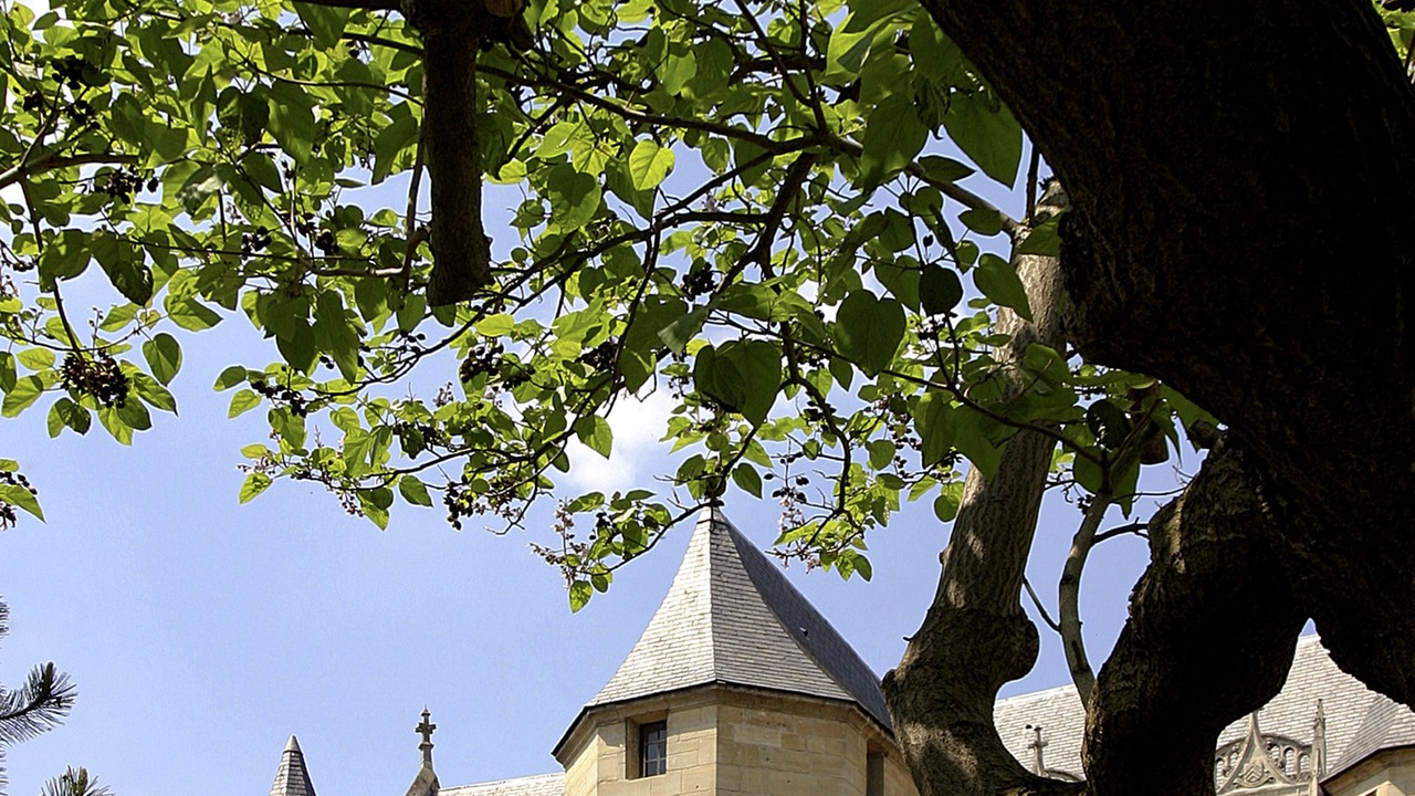 Photo of Outdoor in Cergy