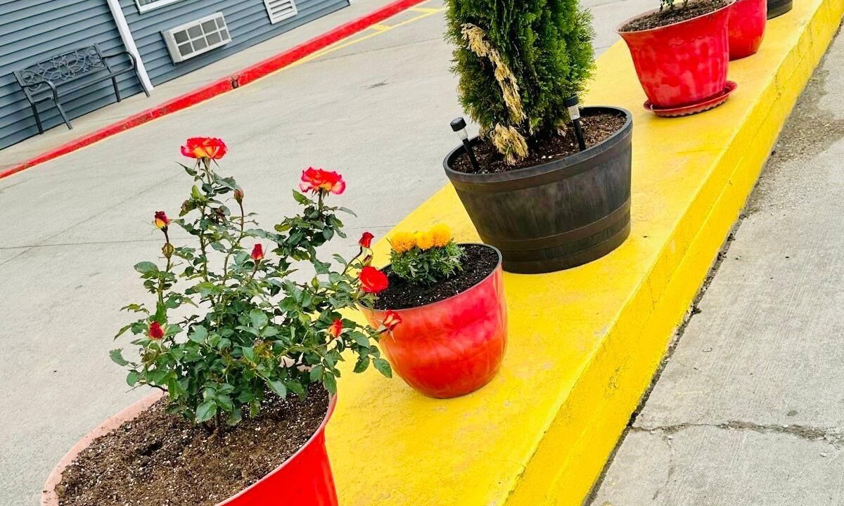 Photo of Outdoor in New Florence