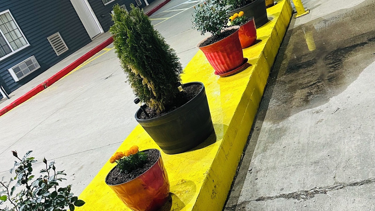 Photo of Others in New Florence