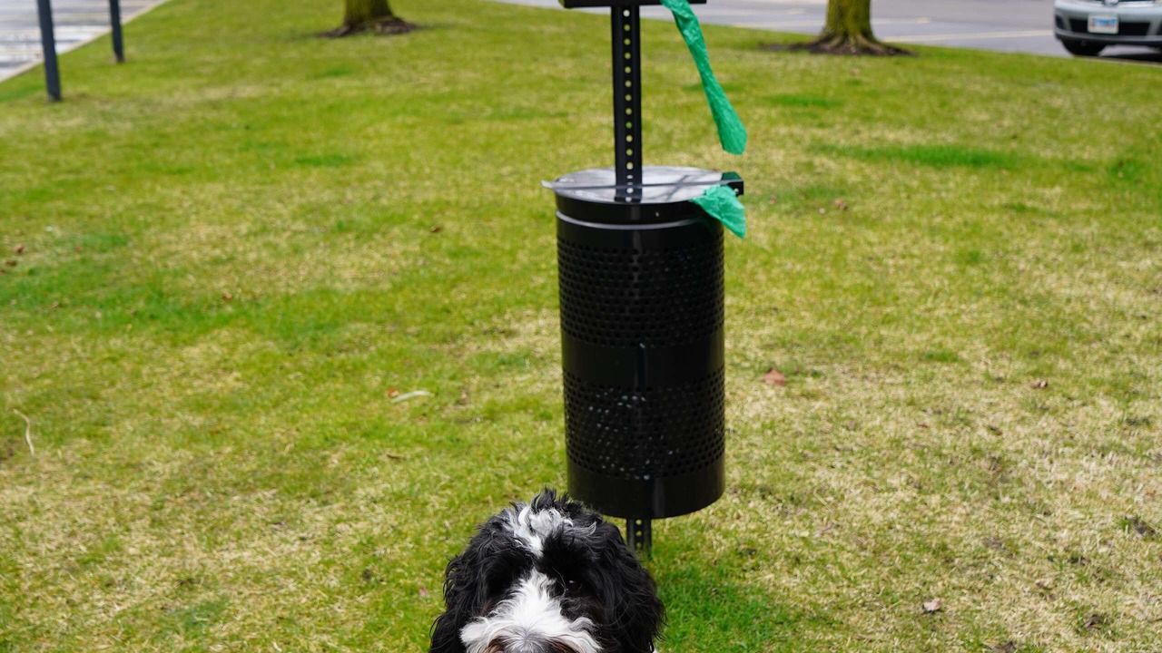 Photo of Others in Aurora