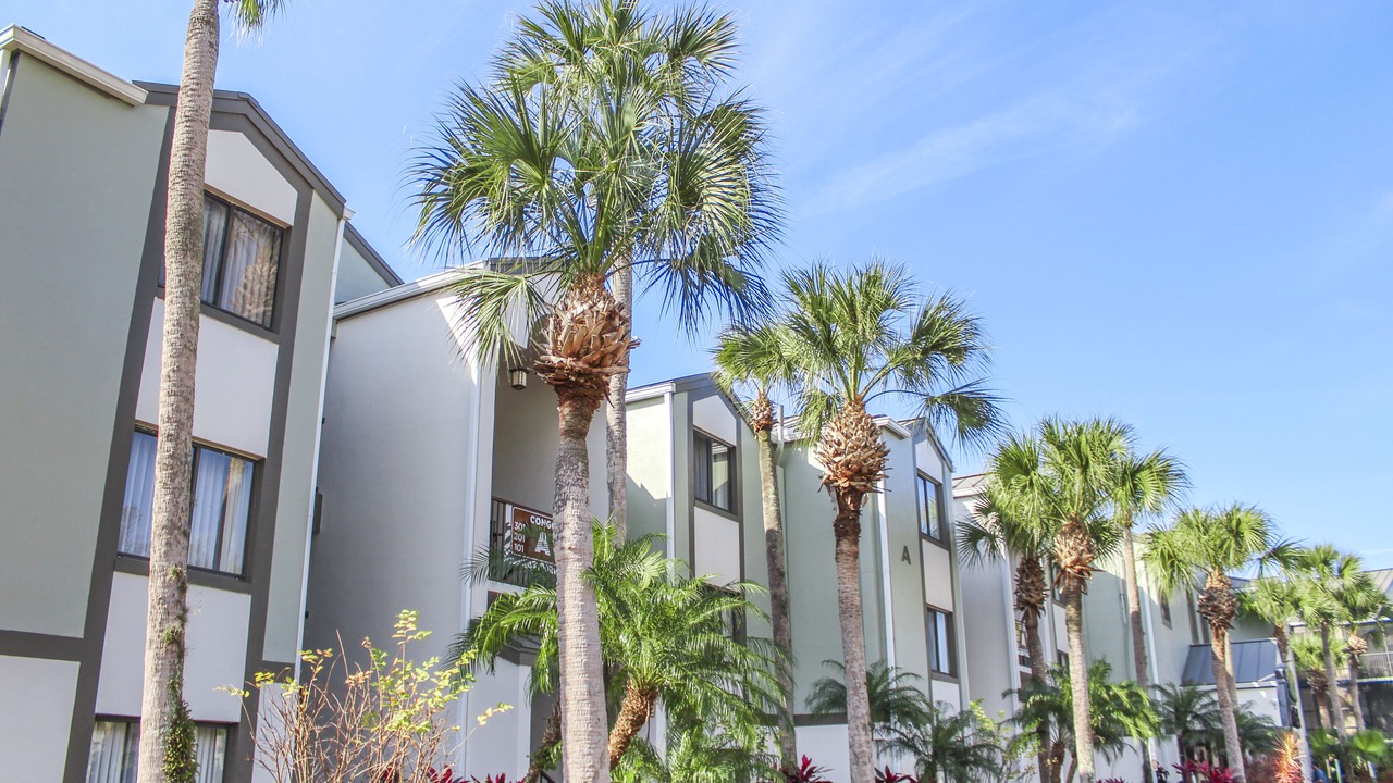 Photo of Outdoor in Florida Central Atlantic Coast