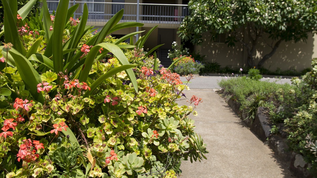 Photo of Outdoor in Singleton