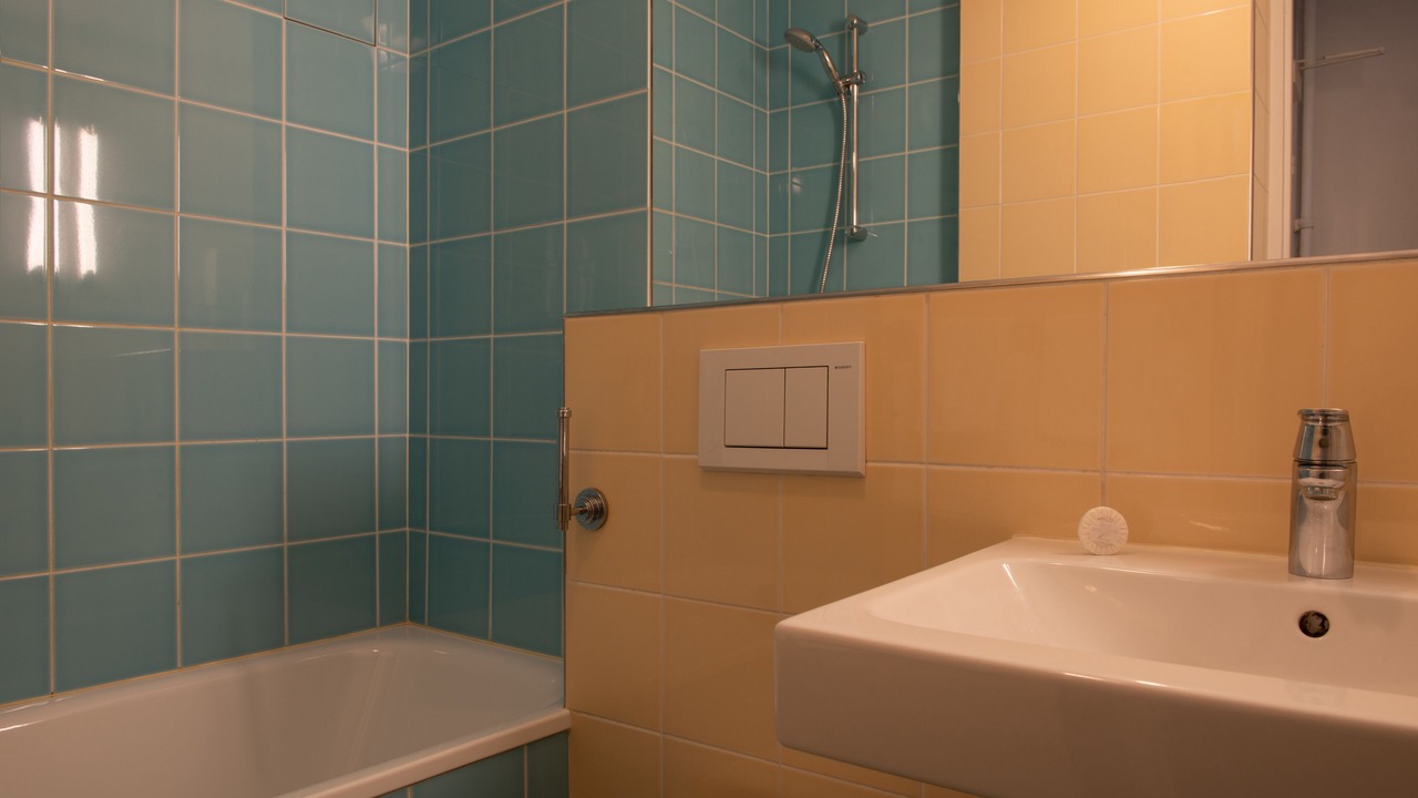 Photo of Bathroom in Grenelle