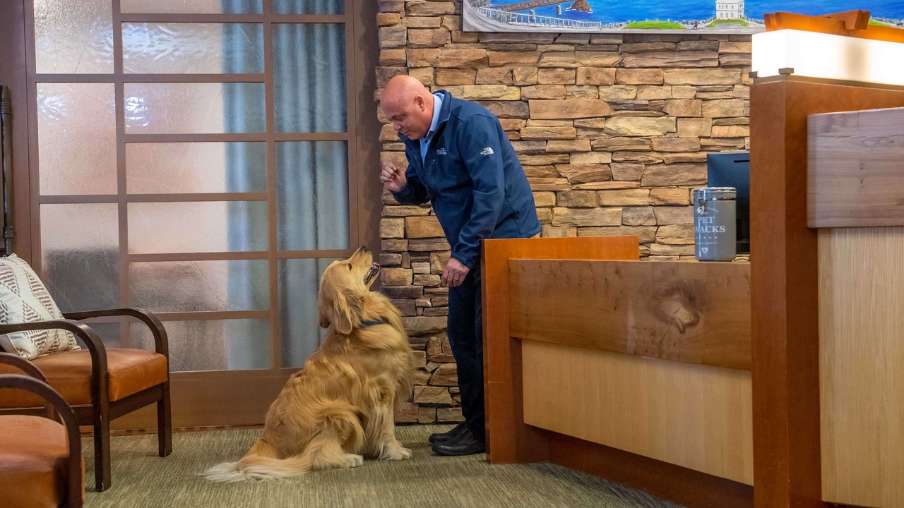 Photo of Outdoor in Belvedere Tiburon