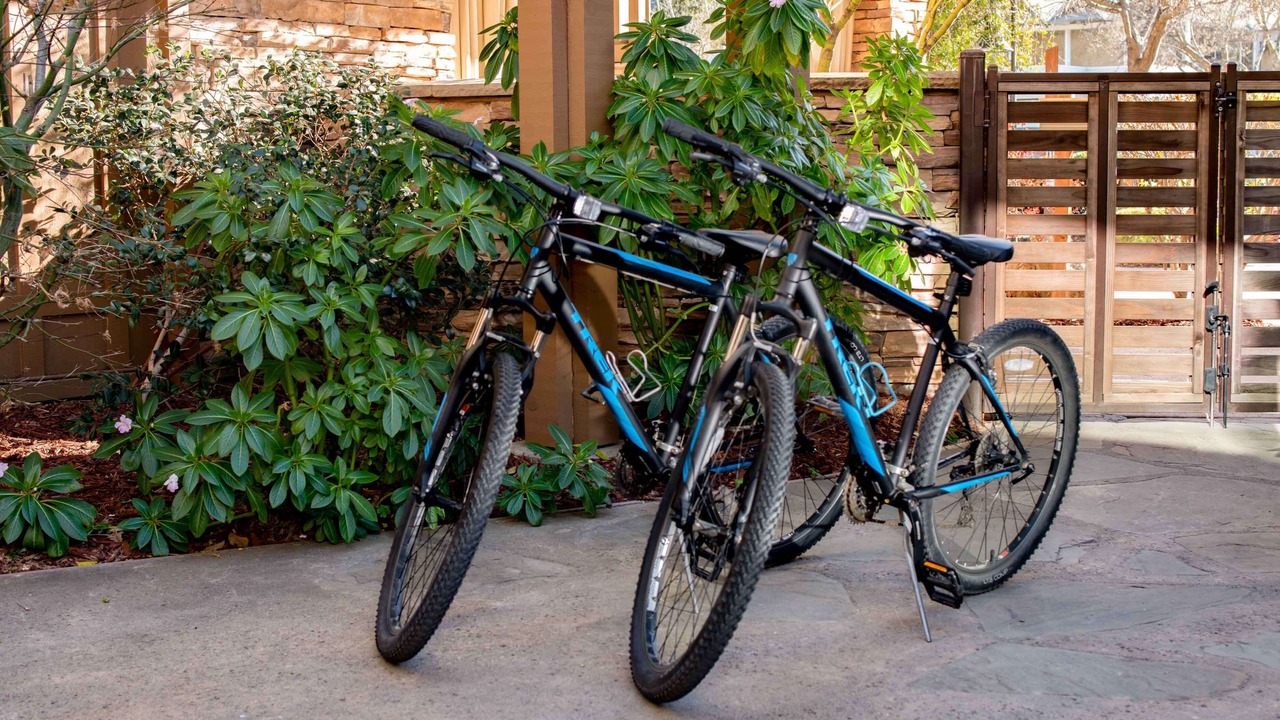 Photo of Others in Belvedere Tiburon