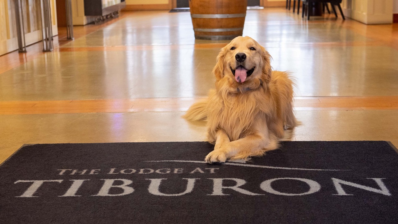 Photo of Others in Belvedere Tiburon