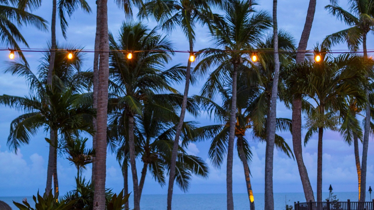 Photo of Outdoor in Islamorada