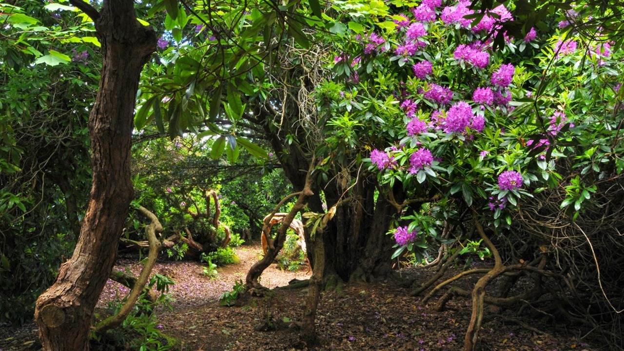 Photo of Outdoor in Contin