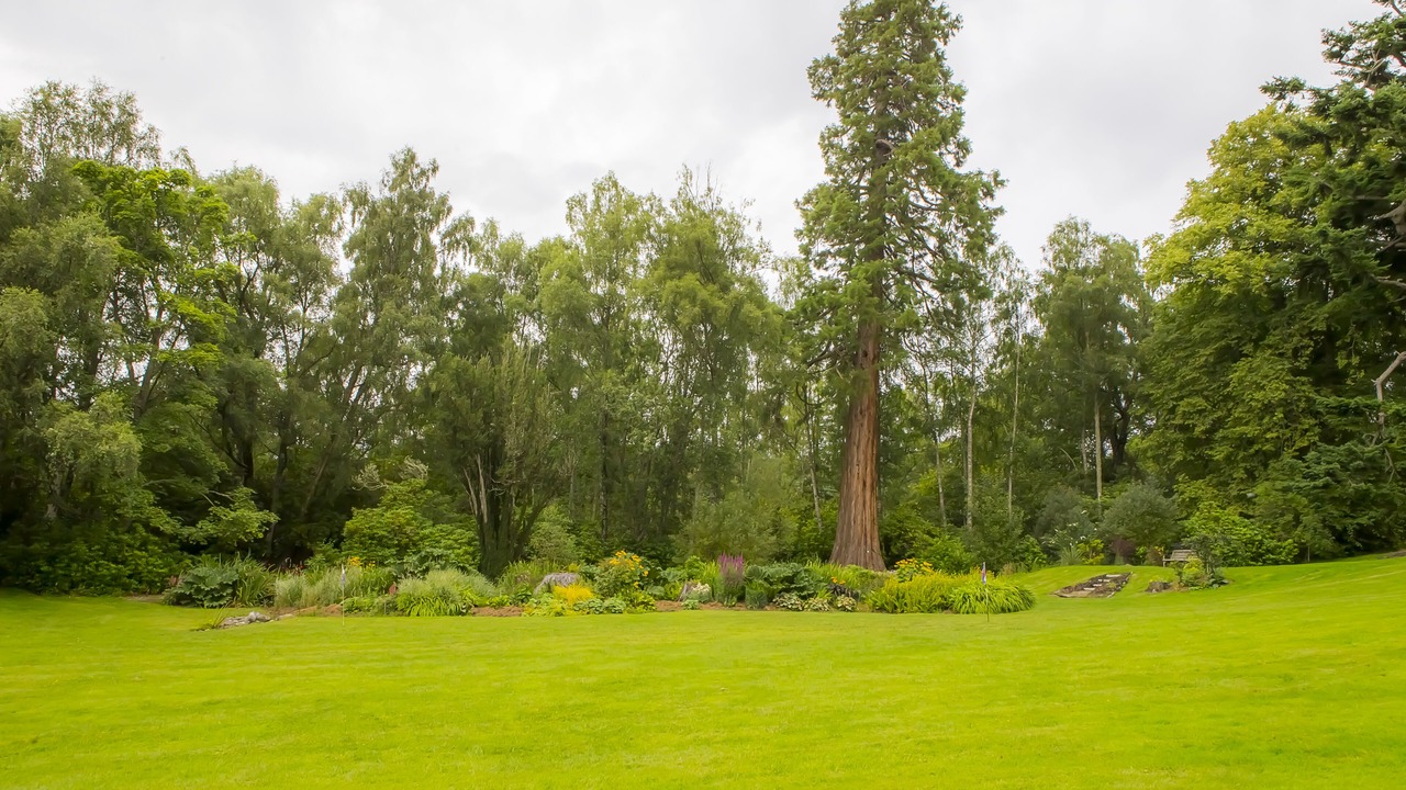 Photo of Outdoor in Contin