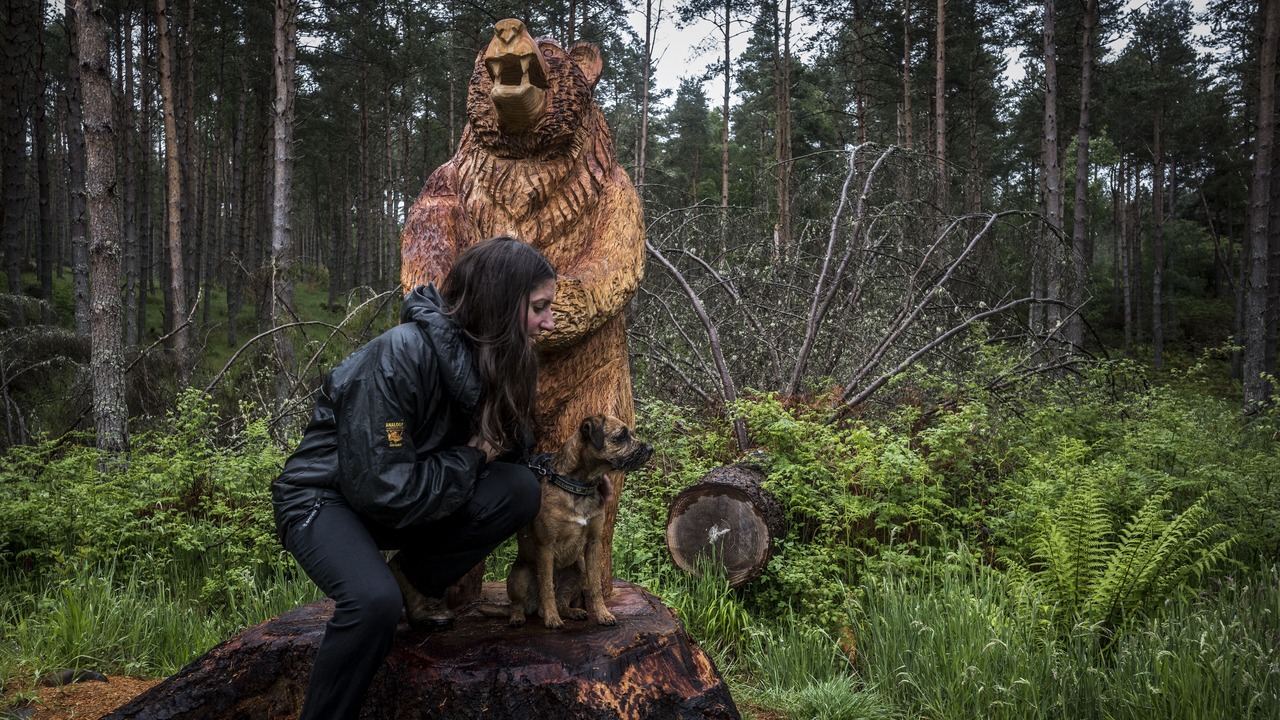 Photo of Outdoor in Contin