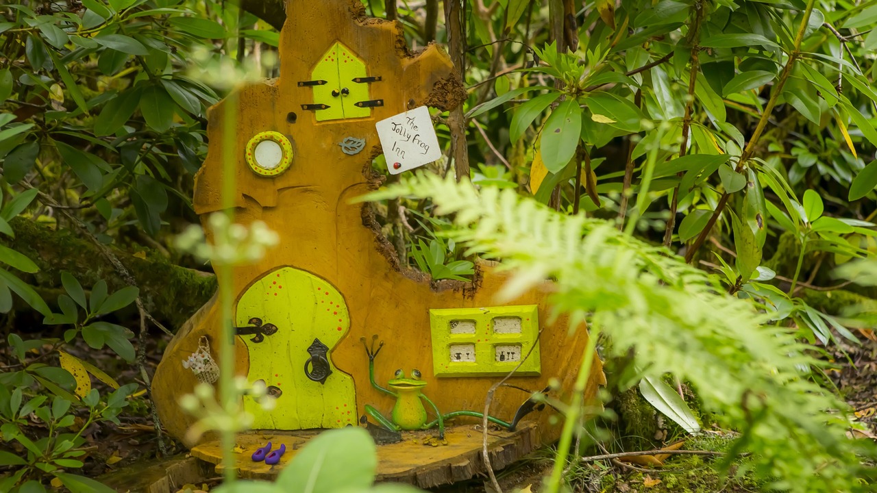 Photo of Outdoor in Contin