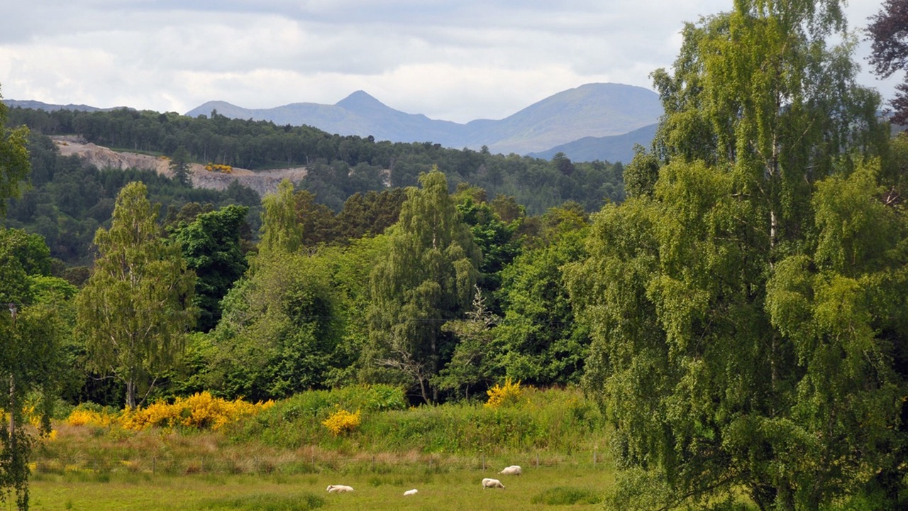 Photo of Others in Contin