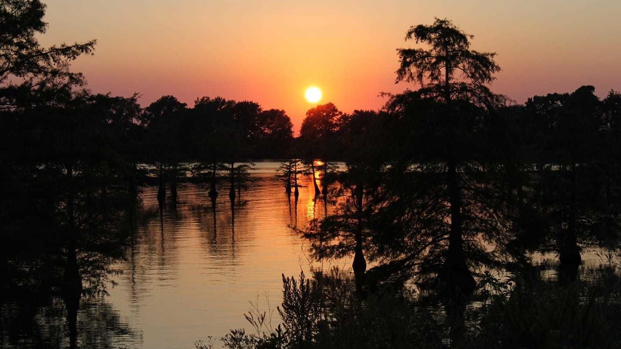 Photo of Others in Lake Village