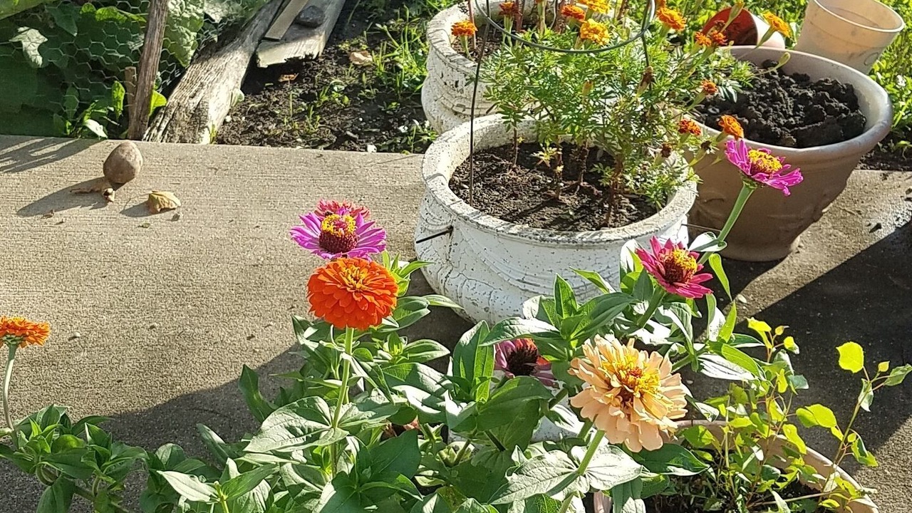 Photo of Outdoor in Algona