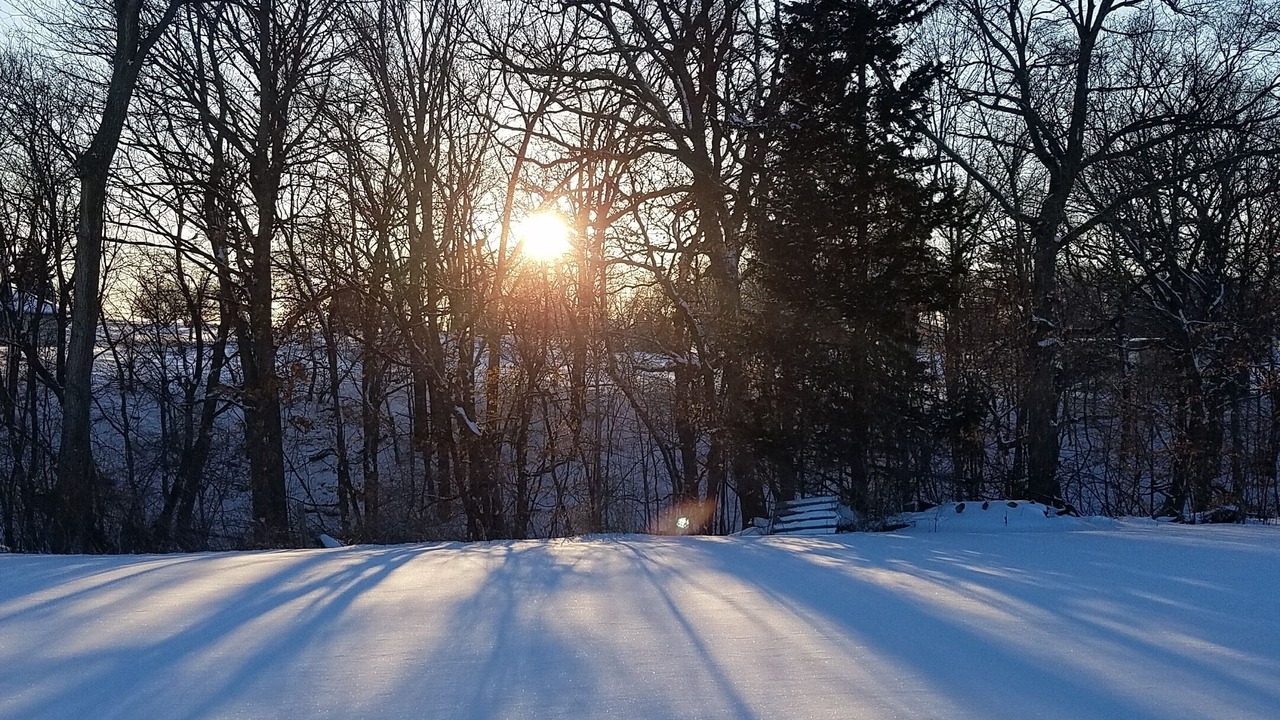 Photo of Others in Algona