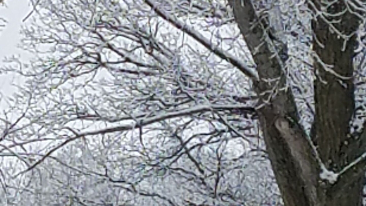 Photo of Others in Algona