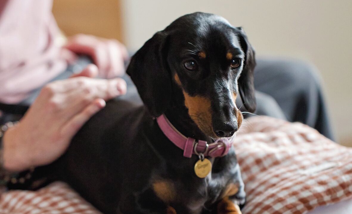 Photo of Others in Centre Ville