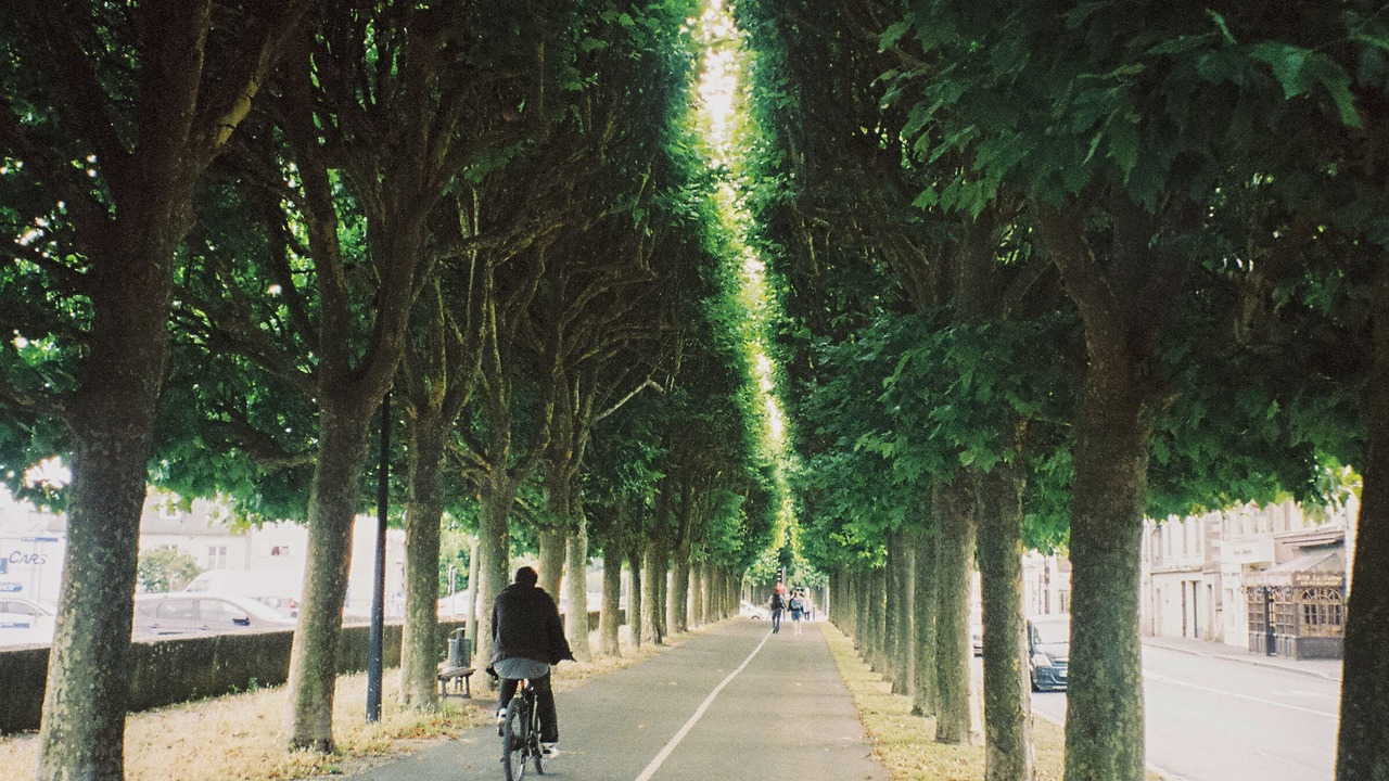 Photo of Outdoor in Centre Ville