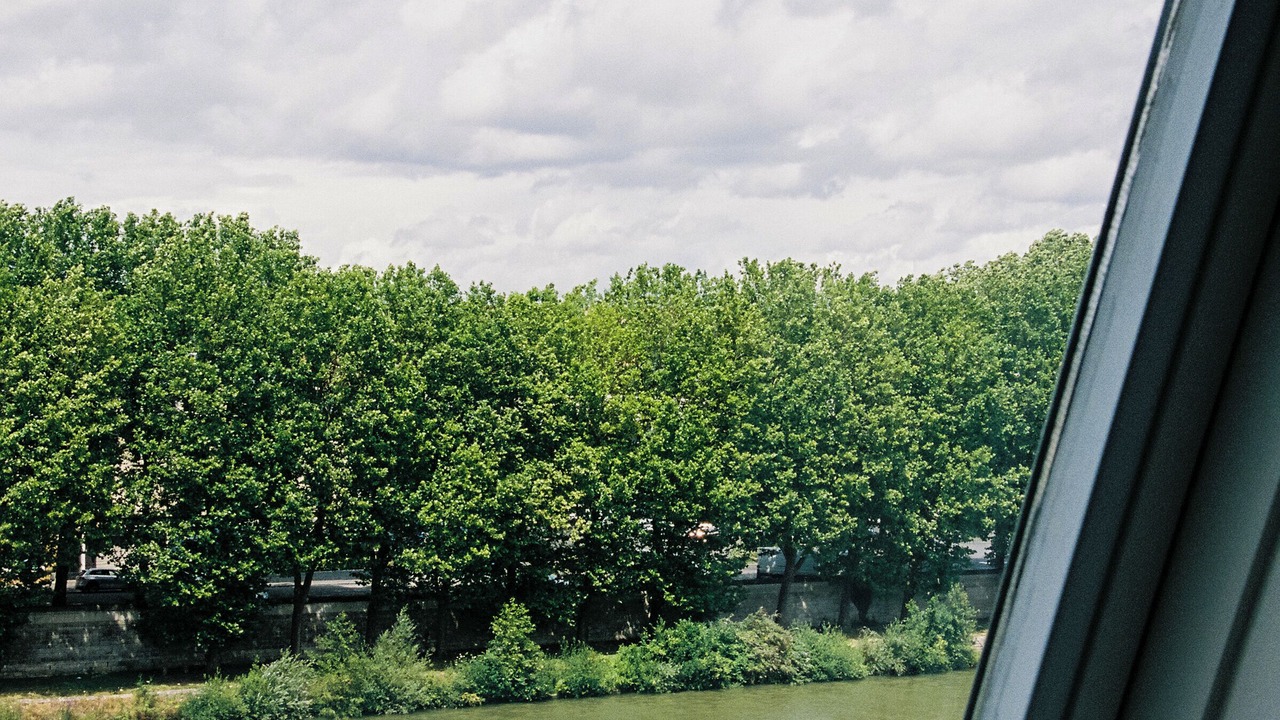 Photo of Bedroom in Centre Ville