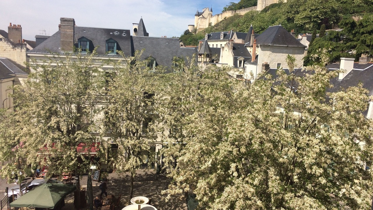 Photo of Buildings in Chinon
