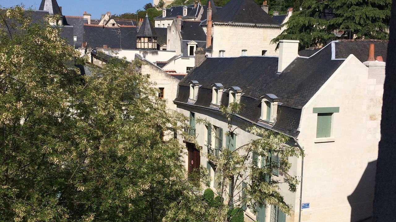 Photo of Others in Chinon