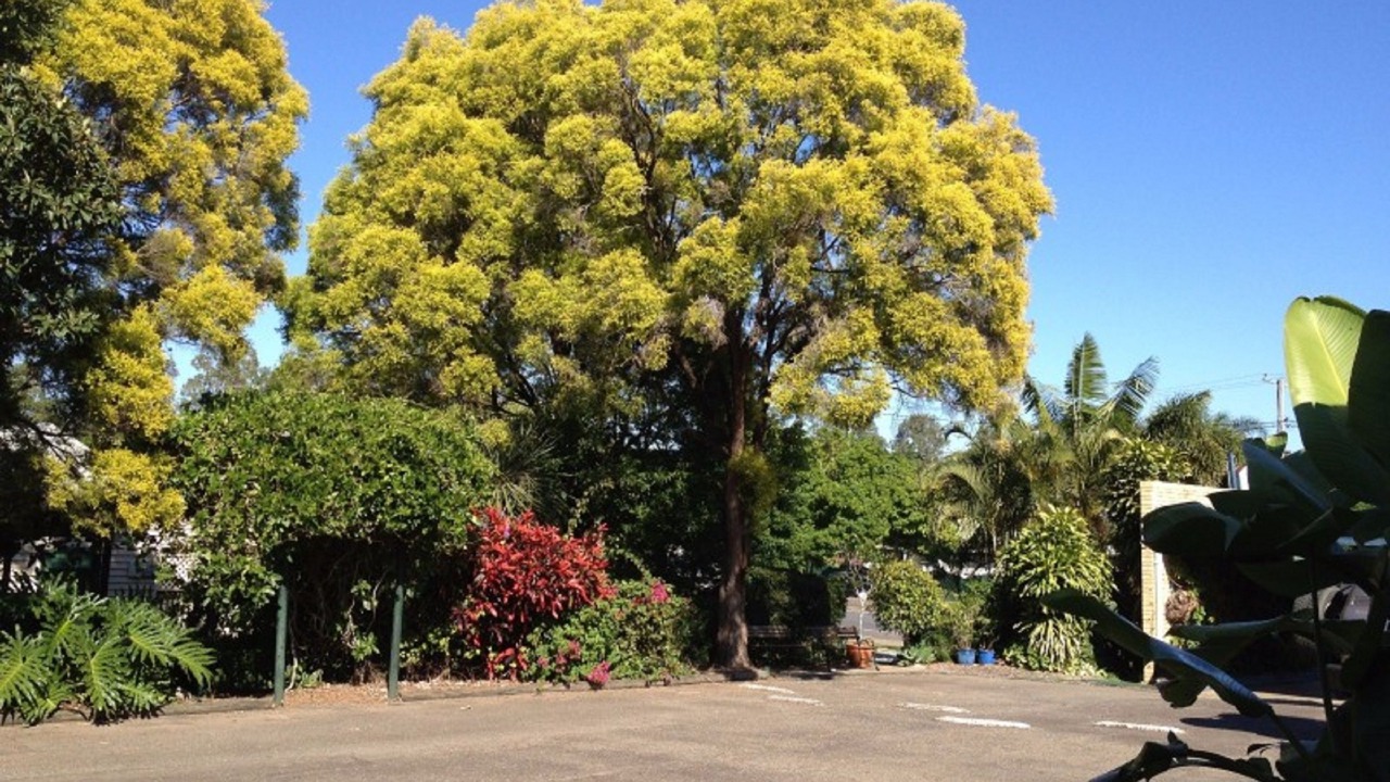 Photo of Outdoor in Ipswich