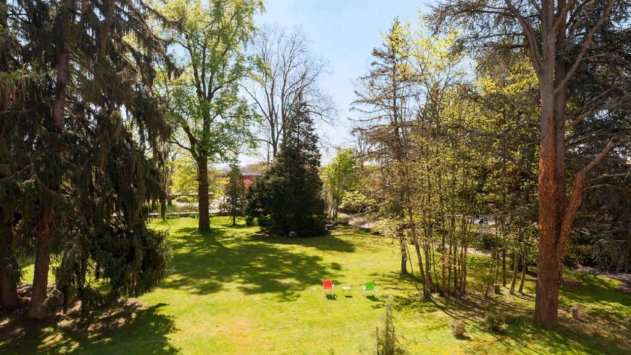 Photo of Outdoor in Thiers