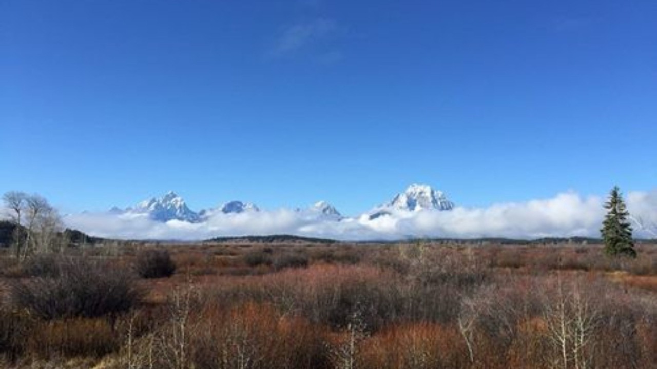 Photo of Others in Jackson Hole