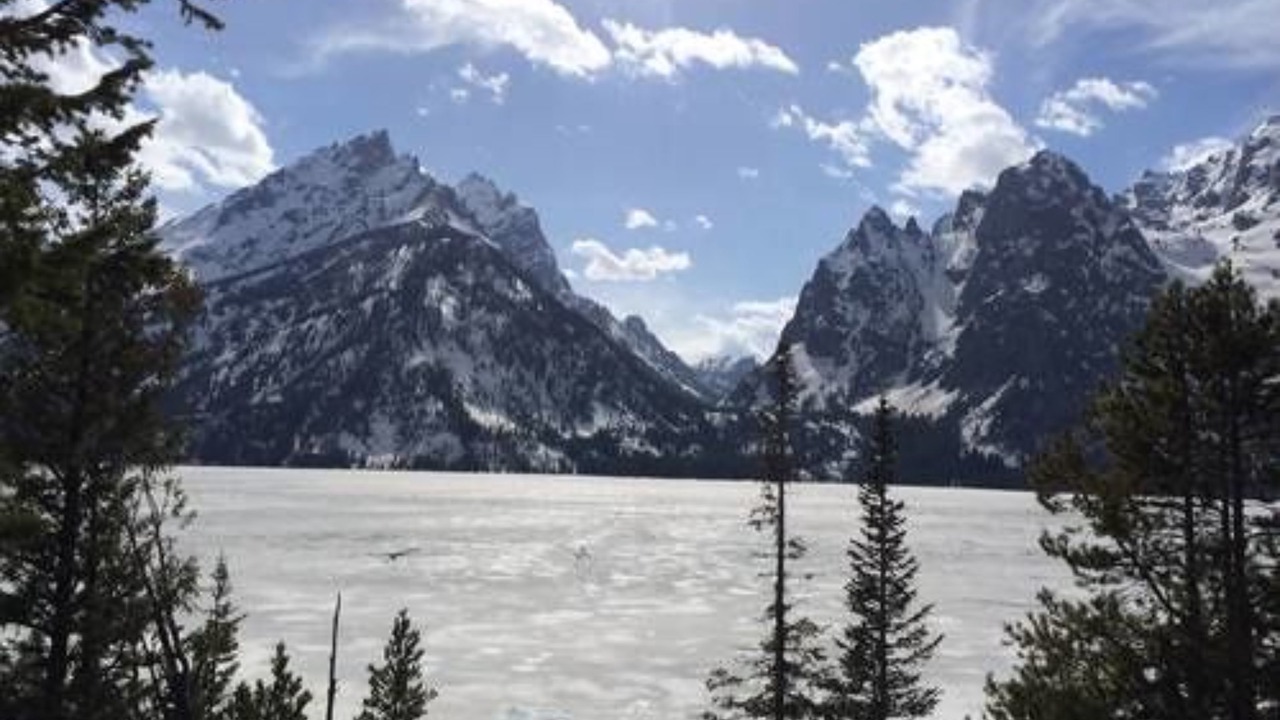 Photo of Buildings in Jackson Hole