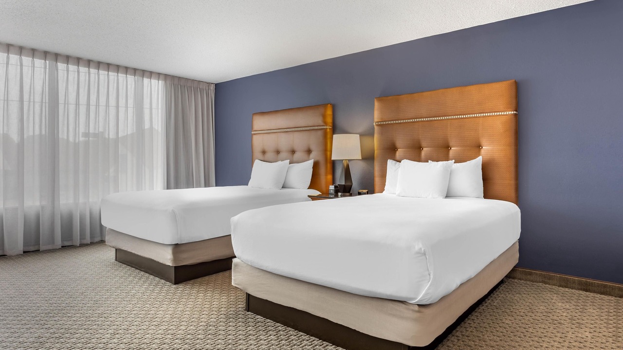 Photo of Others in Springfield