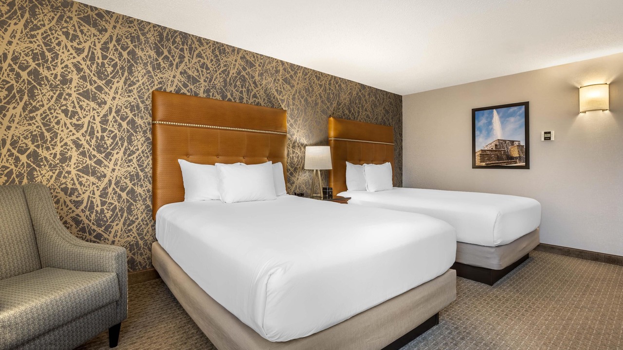 Photo of Others in Springfield