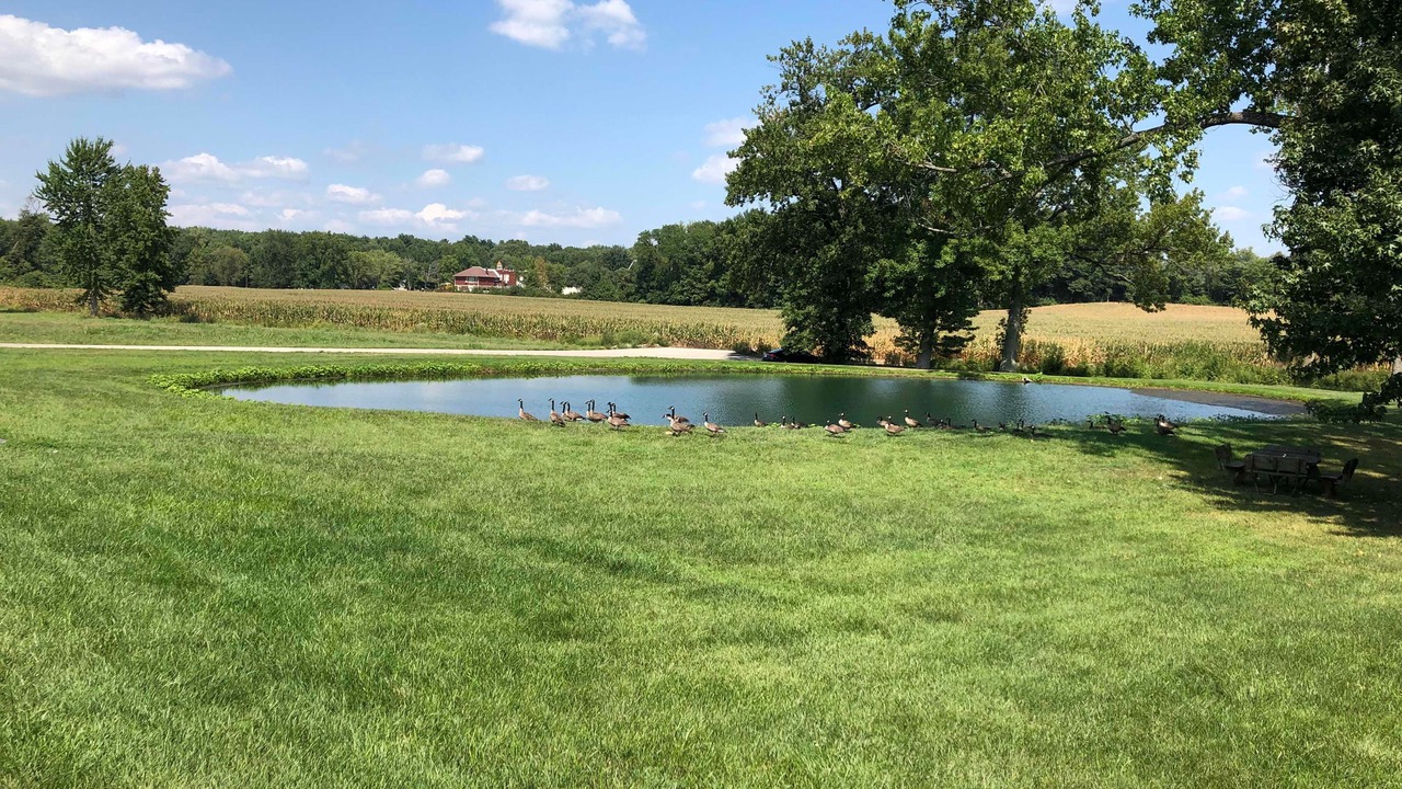 Photo of Outdoor in Washington