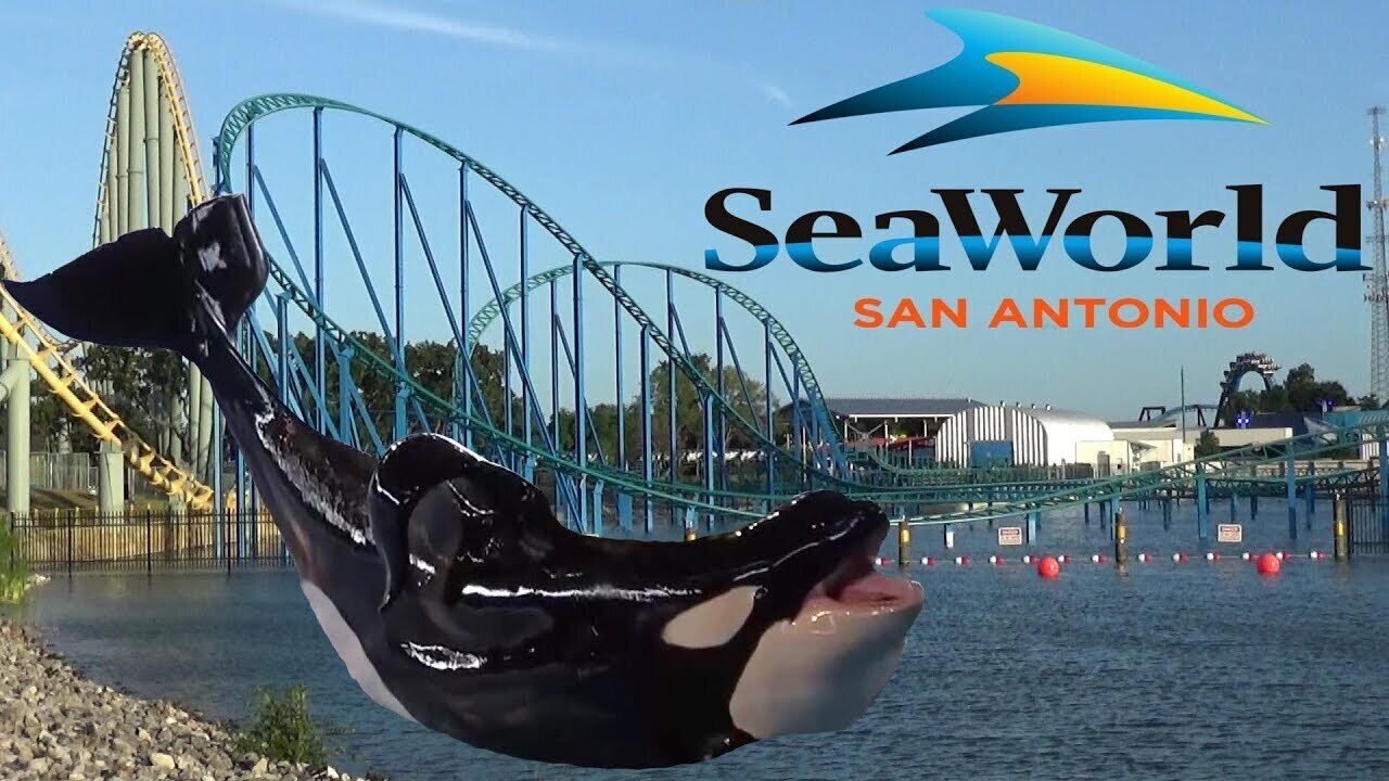 Photo of Others in West San Antonio