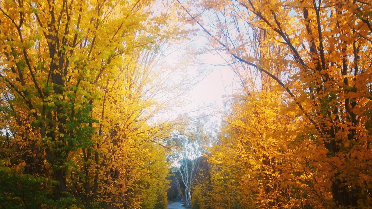 Photo of Outdoor in Clare