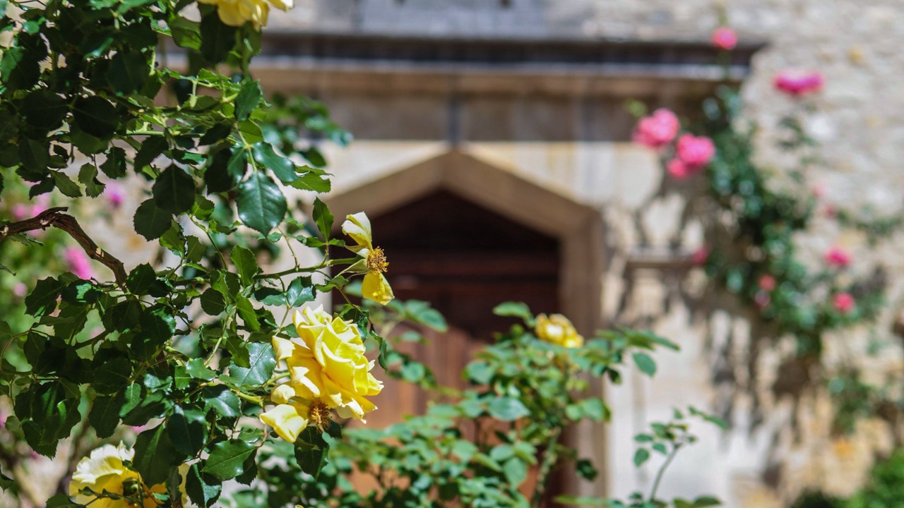 Photo of Outdoor in Noves