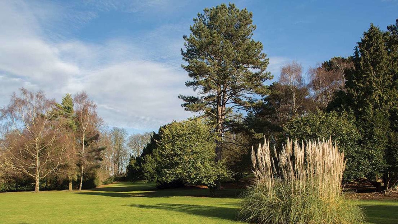 Photo of Outdoor in Brands Hatch